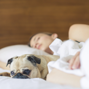 380x380_2x.webp 380x380_2x.webp